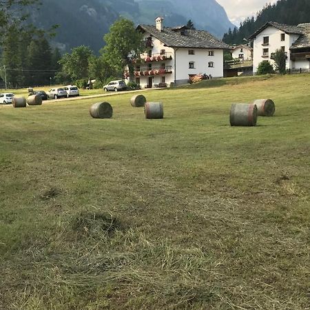 Flora Alpina Apartments-Residenza Verdebjo Gressoney-Saint-Jean Exterior photo