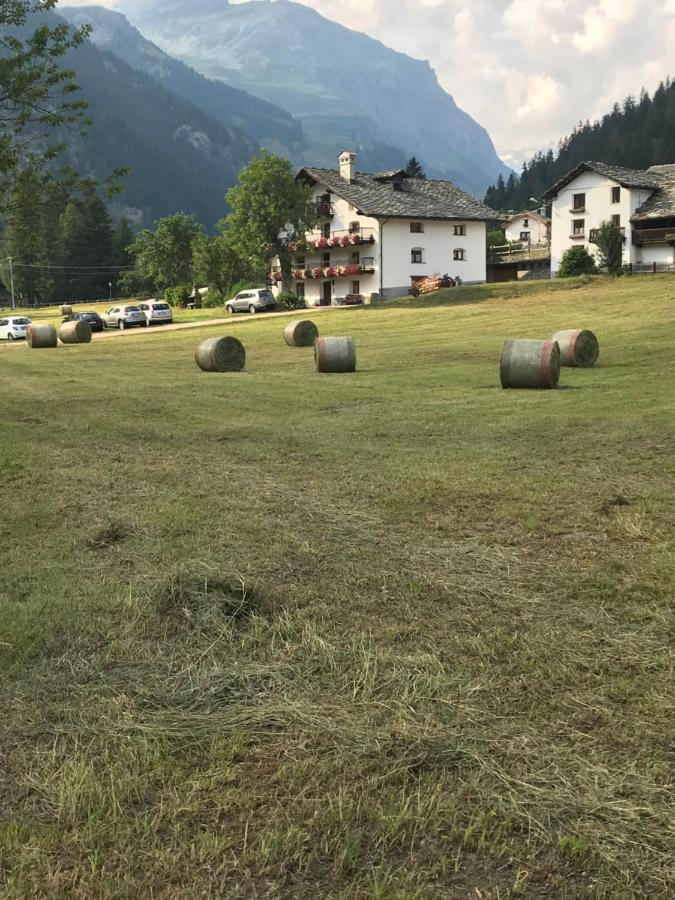 Flora Alpina Apartments-Residenza Verdebjo Gressoney-Saint-Jean Exterior photo