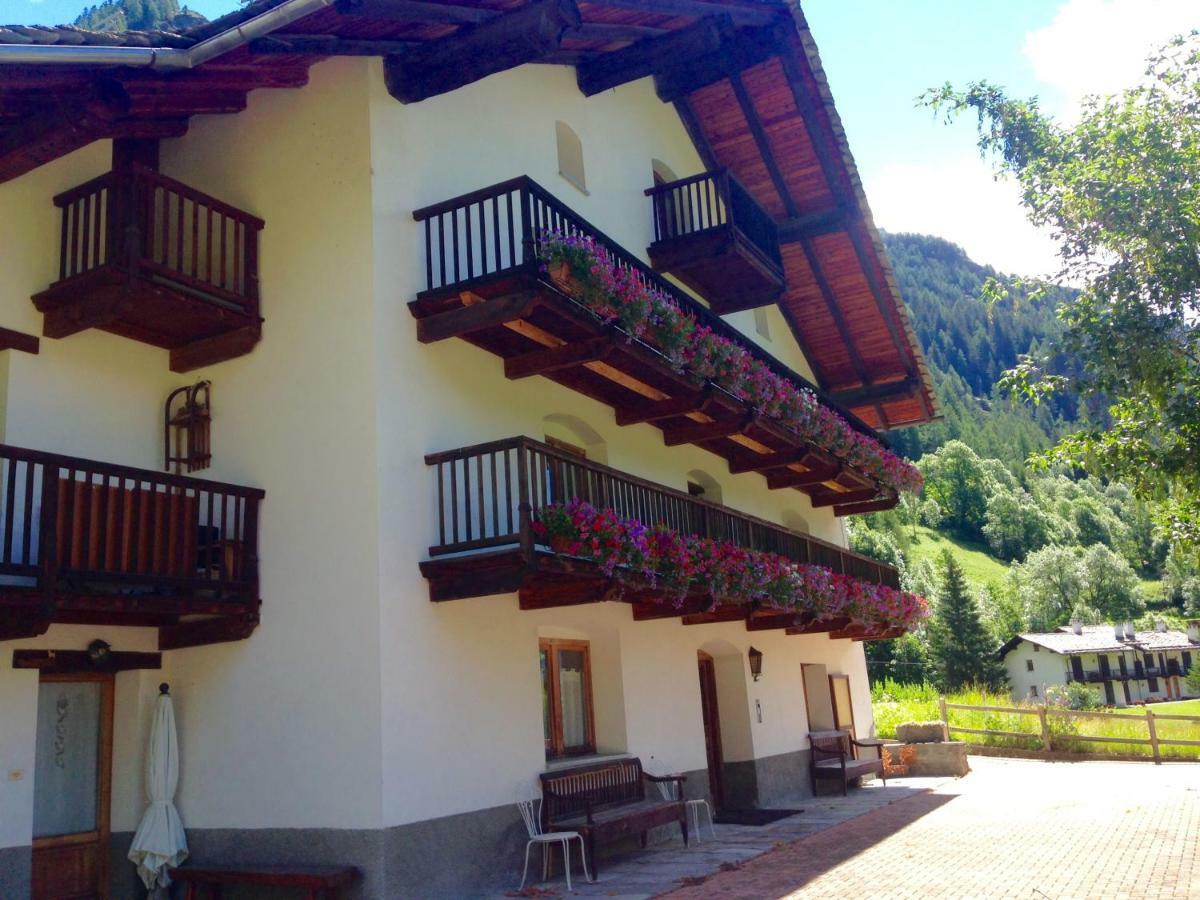 Flora Alpina Apartments-Residenza Verdebjo Gressoney-Saint-Jean Exterior photo