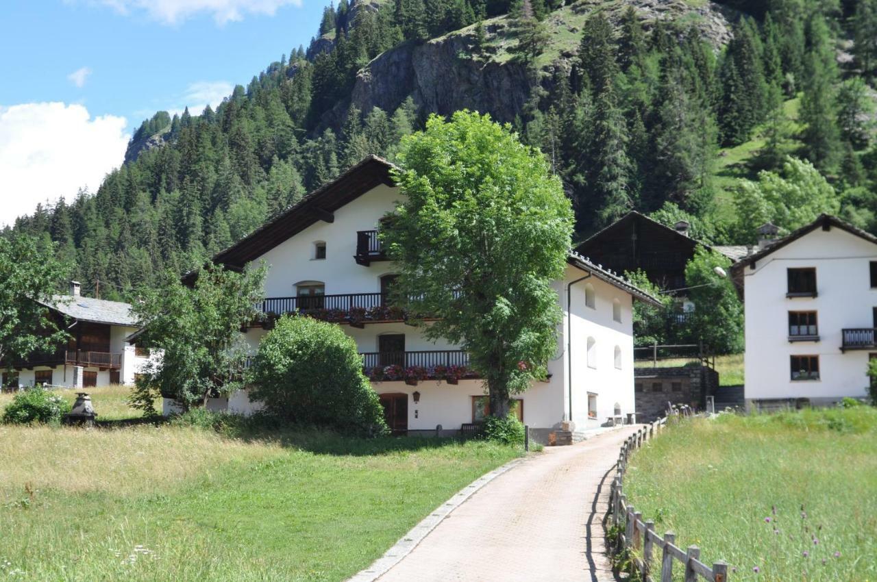 Flora Alpina Apartments-Residenza Verdebjo Gressoney-Saint-Jean Exterior photo