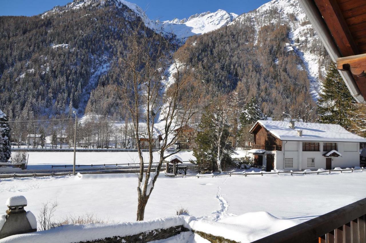 Flora Alpina Apartments-Residenza Verdebjo Gressoney-Saint-Jean Exterior photo